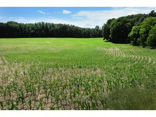 Property photo 23 - REAL ESTATE AUCTION - 26.61+/- ACRES IN NOBLE COUNTY, INDIANA